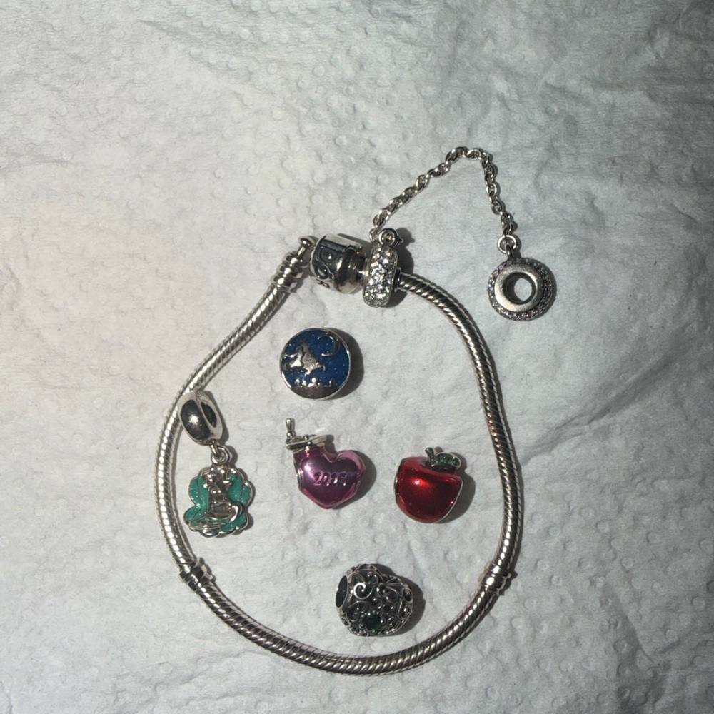 Pandora Charm Bracelet with Charms